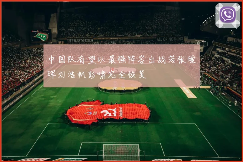 中国队有望以最强阵容出战若张瑷晖刘浩帆彭啸完全恢复